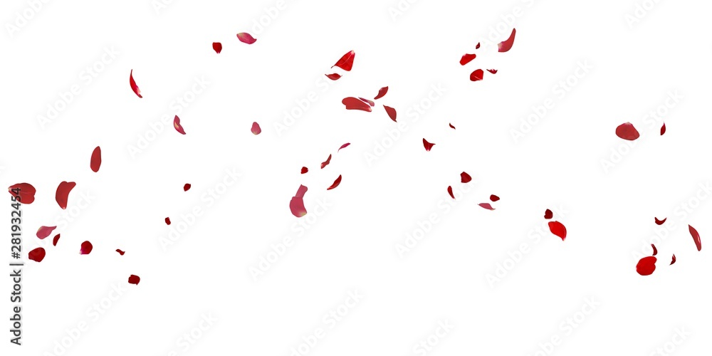 Rose petals flying on white background - obrazy, fototapety, plakaty 