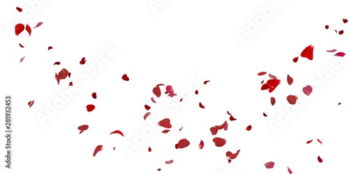 Rose petals flying on white background photo
