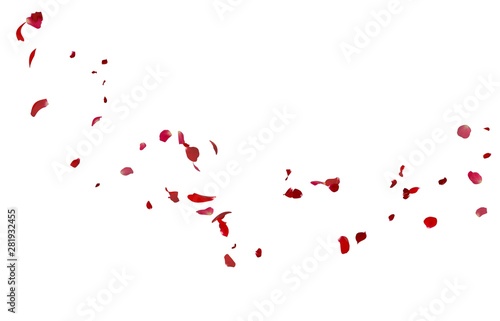 Fototapeta Naklejka Na Ścianę i Meble -  Rose petals flying on white background