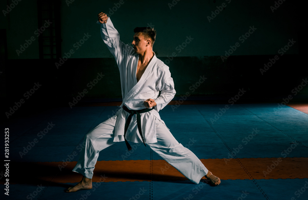 Young man is practicing martial arts in sport gym Young man is practicing martial arts in sport gym