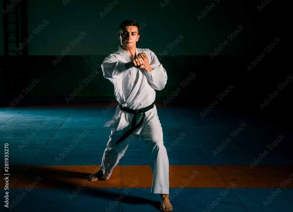 An image of a taekwondo martial arts master