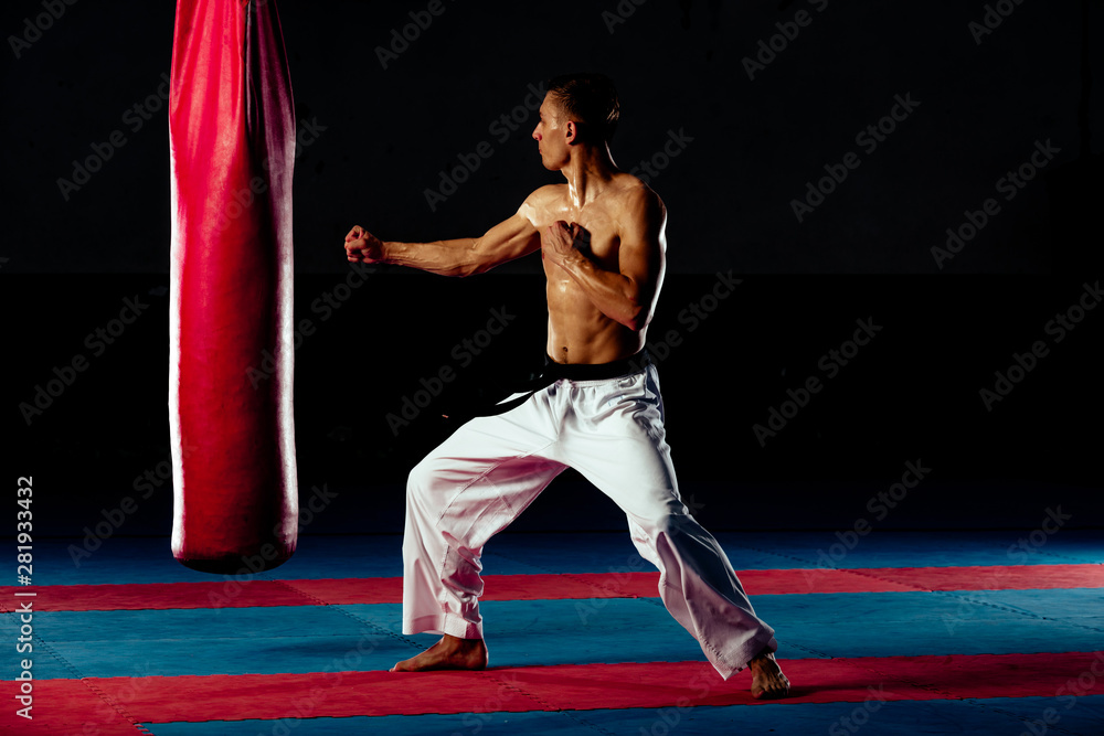 Young caucasian sportsman kicking punching bag