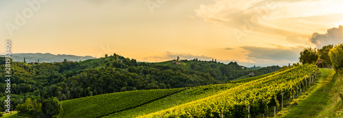 Grape hills and mountains view from wine street in Styria  Austria   Sulztal Weinstrasse   in summer.