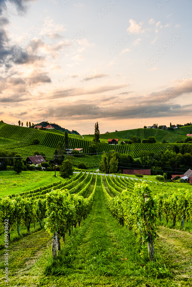 Fototapeta premium Wzgórza winogronowe i góry widok z ulicy wina w Styrii, Austria (Sulztal Weinstrasse) w lecie.
