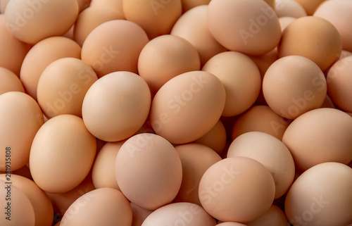 lots of eggs