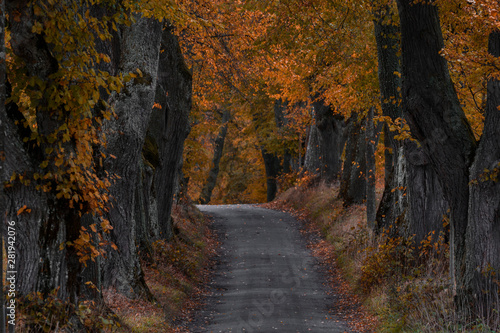 Herbstliche Alle