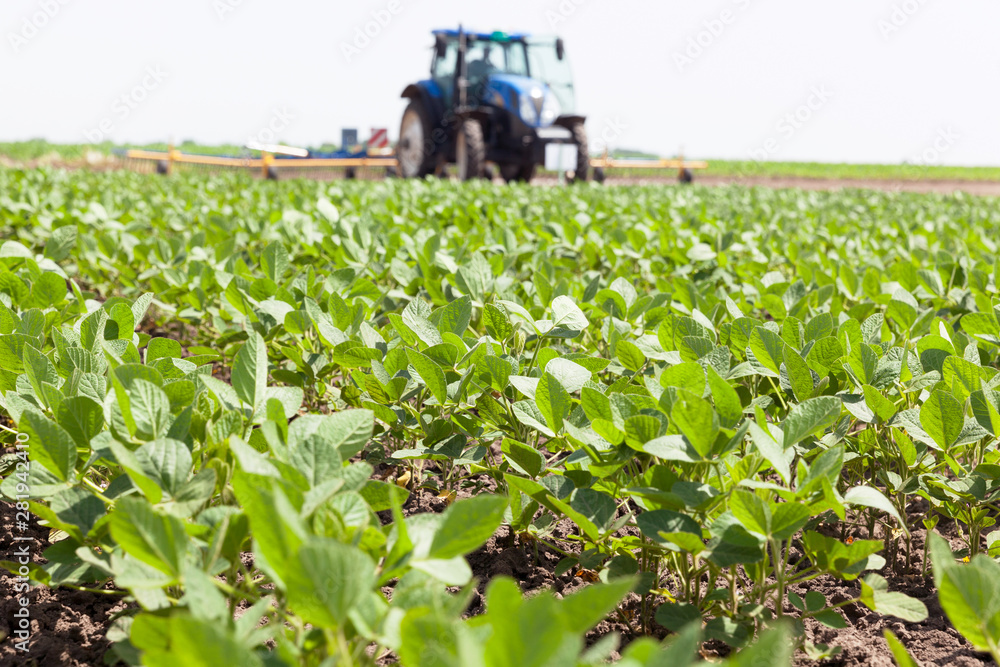 Green ripening soybean field, farmer driving tractor in the background Green ripening soybean field, farmer driving tractor in the background