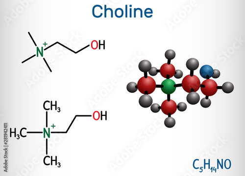Choline vitamin-like essential nutrien molecule. It is a constituent of lecithin. Structural chemical formula and molecule model