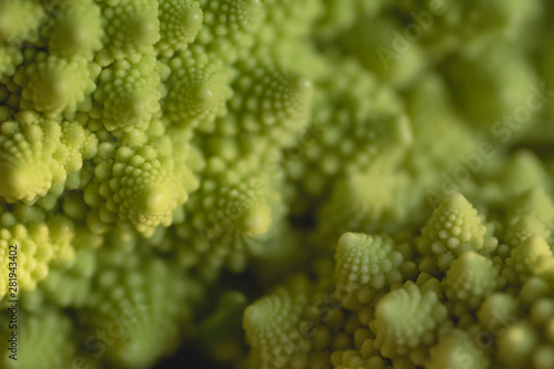 Green romanesco broccoli logarithmic spirals close up