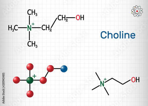 Choline vitamin-like essential nutrien molecule. It is a constituent of lecithin. Structural chemical formula and molecule model. Sheet of paper in a cage