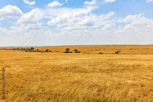 View of the savanna in Africa with the horizon