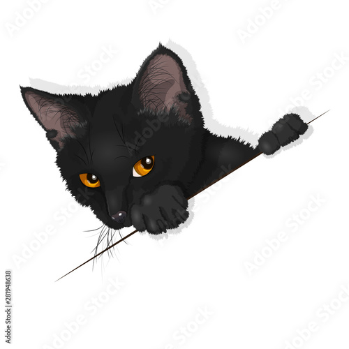 Vector illustration of a domestic black cat isolated on white. Ad space. EPS 10