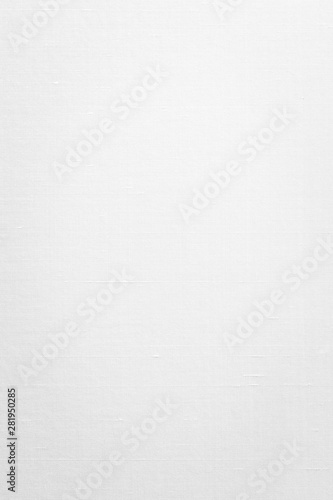 White canvas cotton background silk fabric wallpaper texture pattern in light pastel silver gray color