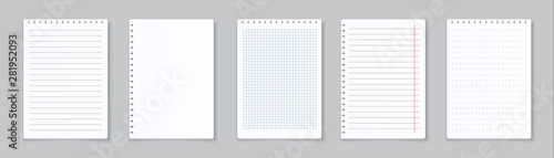 Realistic lined notepapers. Blank gridded notebook papers for homework and exercises. Vector pads paper sheets with lines and squares for memo photo