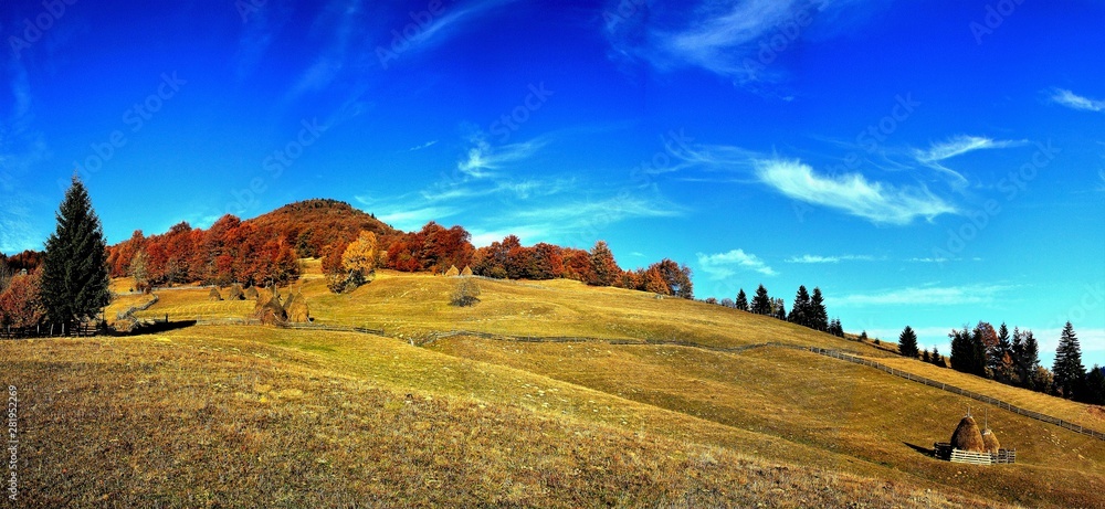 Fototapeta premium Landscape with trees yellowed on the mountain