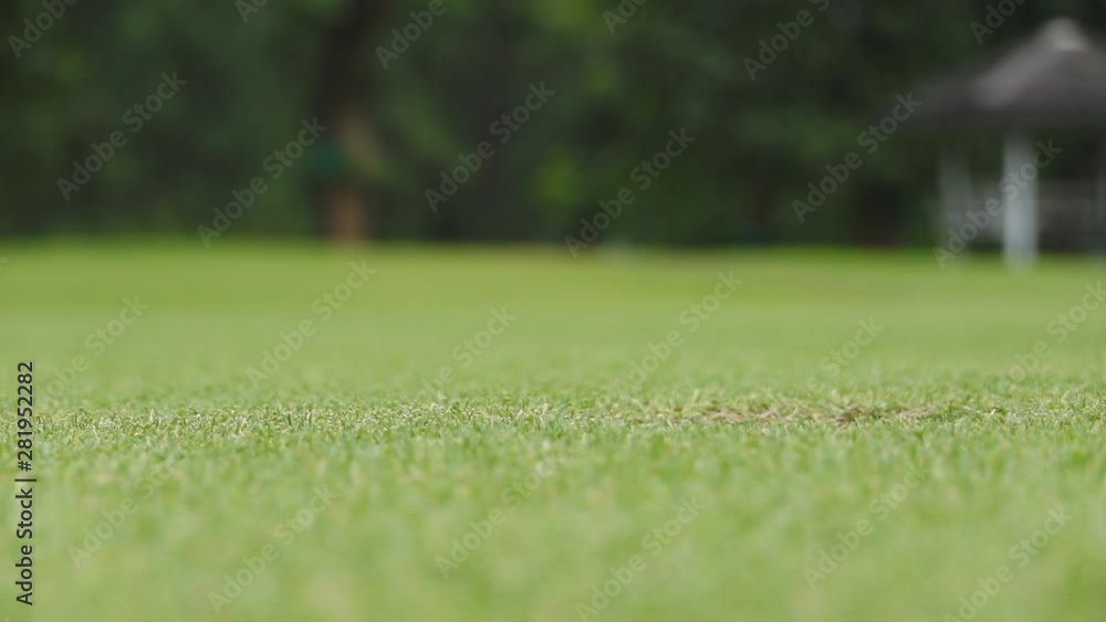 Slow Motion Golf Ball Falls Into The Hole Close Up Slow Motion Golf Ball Falls Into The Hole Close Up
