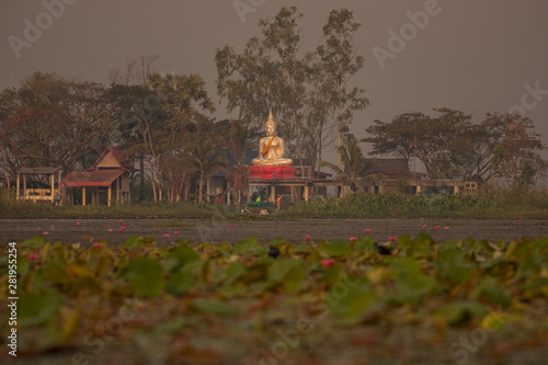 Buddha, Red Lilly Lake, Thailand photo