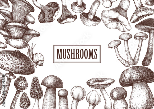 Edible mushrooms vector design. Hand drawn healthy food template. Forest plants sketches. Perfect for recipe, menu, label, icon, packaging. Vintage mushrooms background. Botanical illustration.