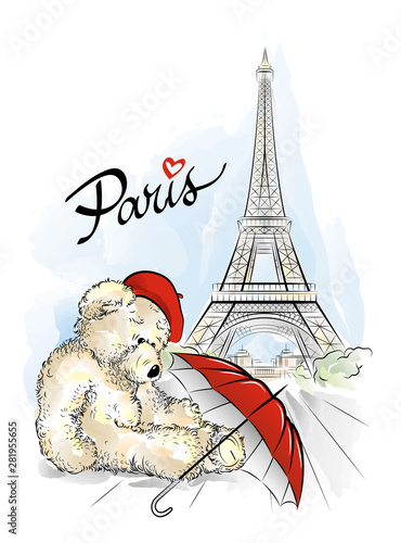Postcard with Teddy bear and Eiffel tower from Paris, France. Vector illustration