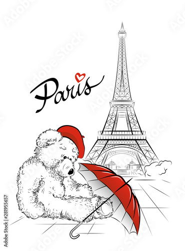 Postcard with Teddy bear and Eiffel tower from Paris, France. Vector illustration