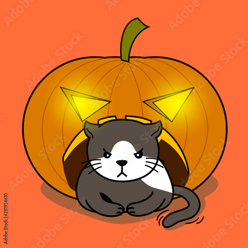 Grey cranky cat sitting moodily in a jack-o-lantern