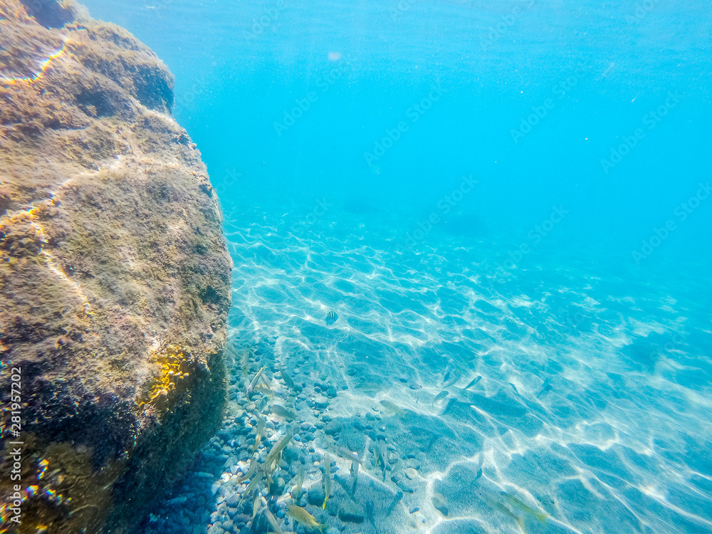 Obraz premium Underwater view of Guadeloupe blue sea