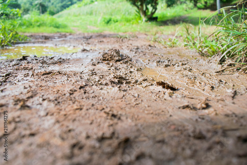 Wallpaper Mural Clay in the rain, wet Torontodigital.ca