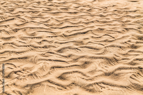 Golden waves texture of sand dunes on river bank