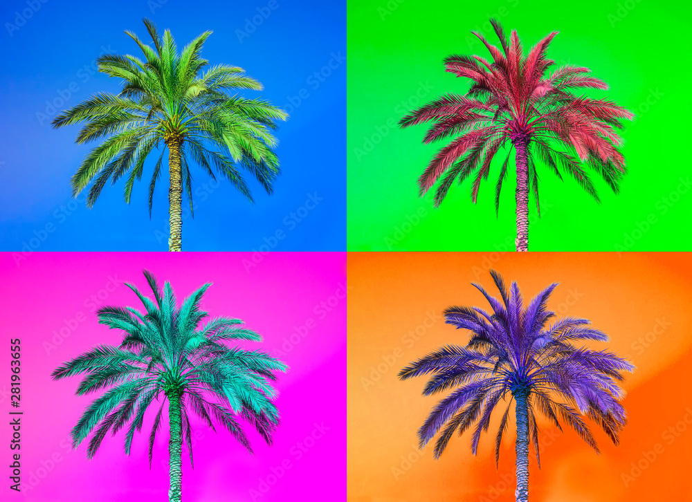 set of colorful palm tree and background