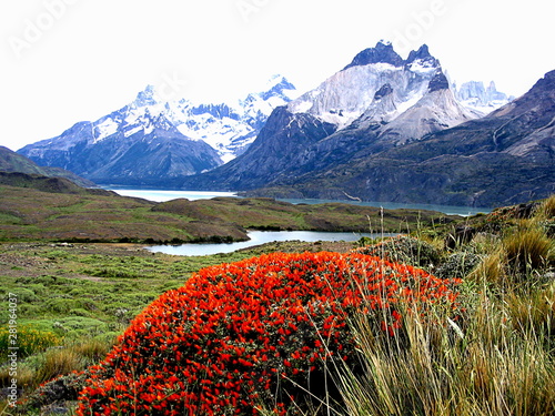 Views of snow peaks - Torres del Paine National Park, southern Patagonia, Chile photo