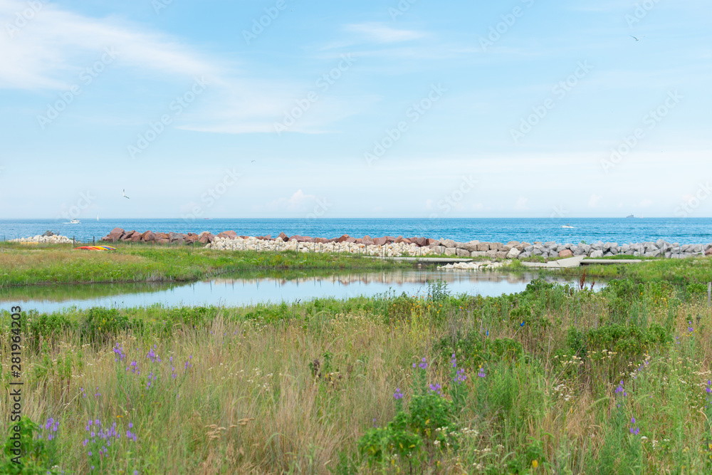 Pond and Lake Michigan with Native Plants at Northerly Island in Chicago during Summer