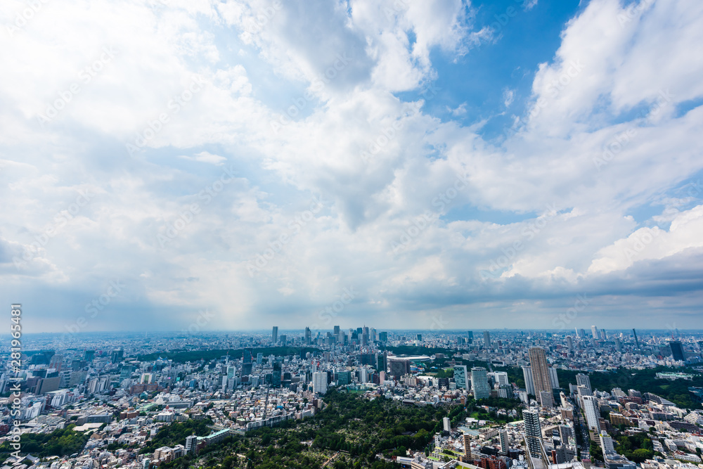 Fototapeta premium Pejzaż Tokio Panoramę miasta Tokio, Japonia.
