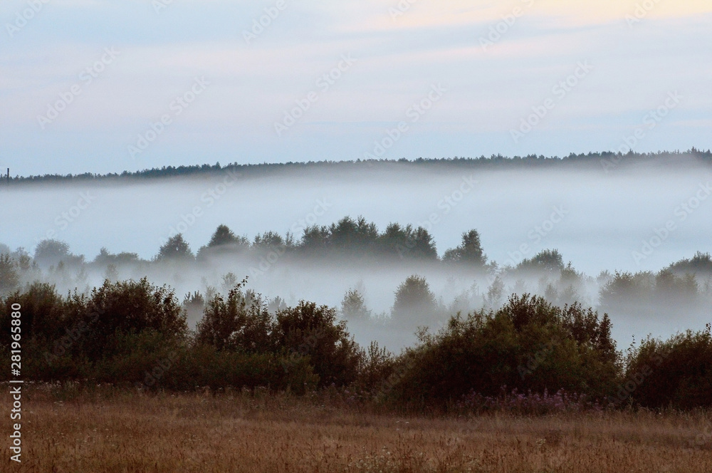 Fototapeta premium foggy morning on the lake
