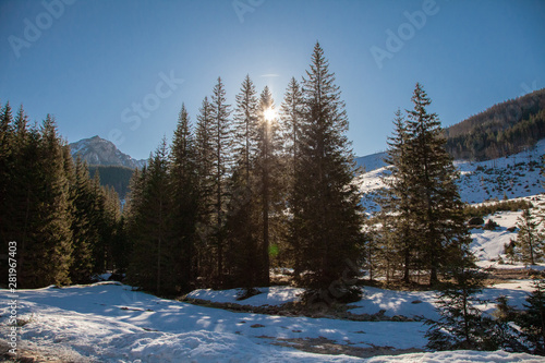 Wallpaper Mural wschód słońca Torontodigital.ca