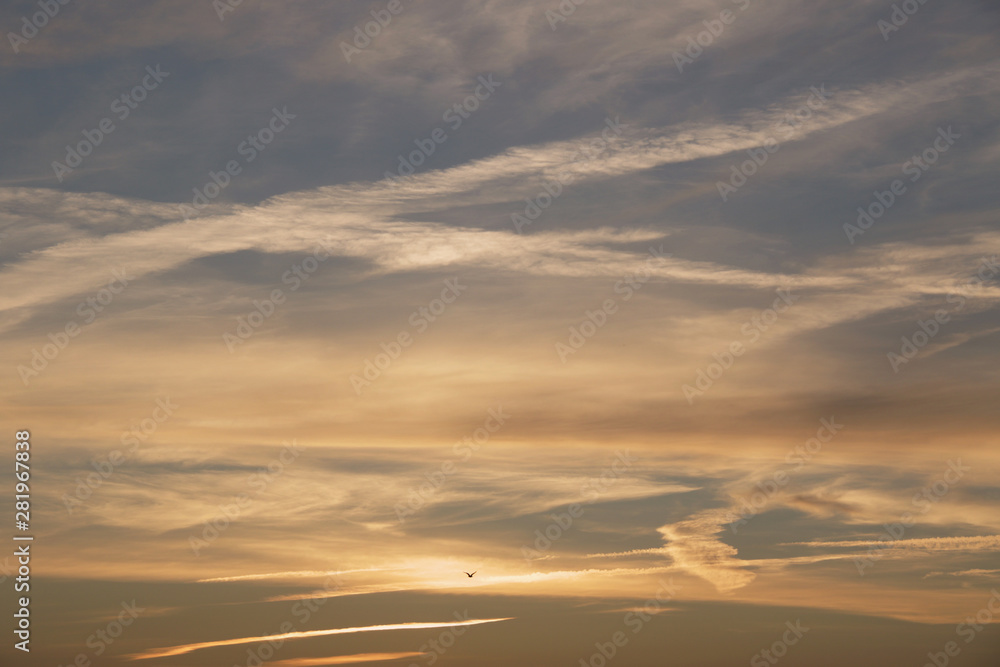 Obraz premium dramatic golden evening cloudscape