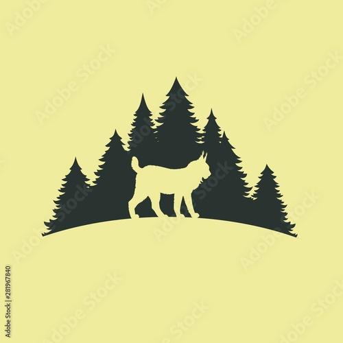 Wild lynx on the background of the forest