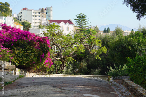 View of the La Alameda Gibraltar Botanic Gardens in Gibraltar