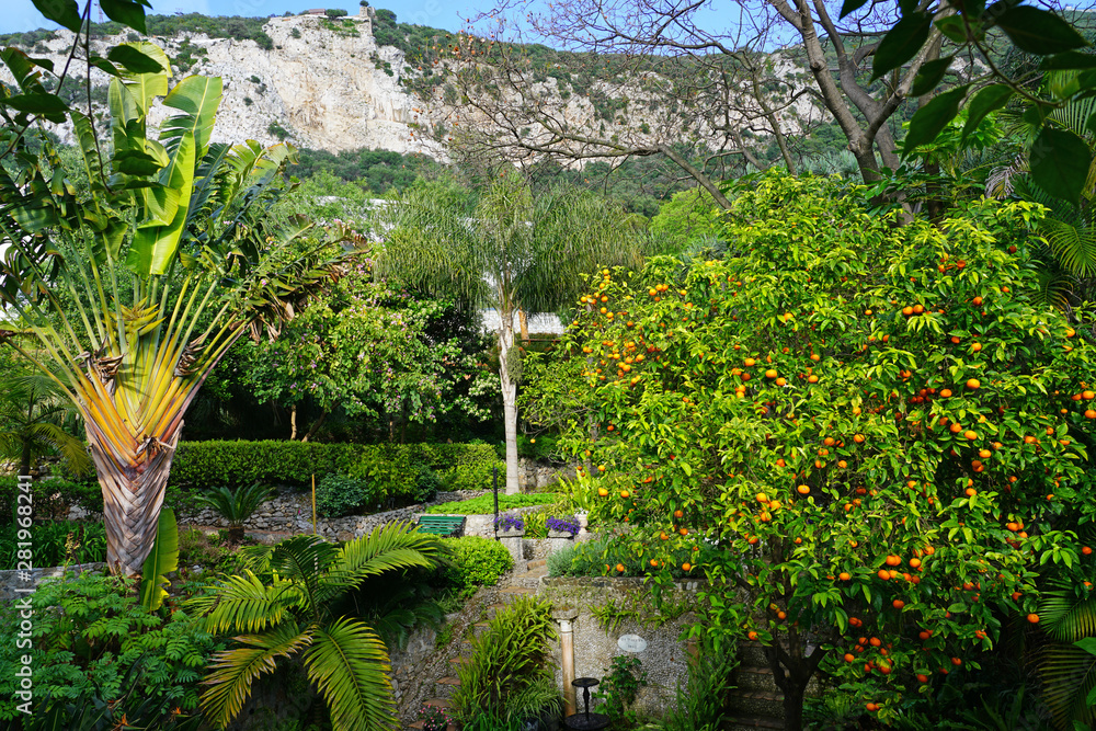 Naklejka premium View of the La Alameda Gibraltar Botanic Gardens in Gibraltar