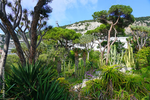 View of the La Alameda Gibraltar Botanic Gardens in Gibraltar