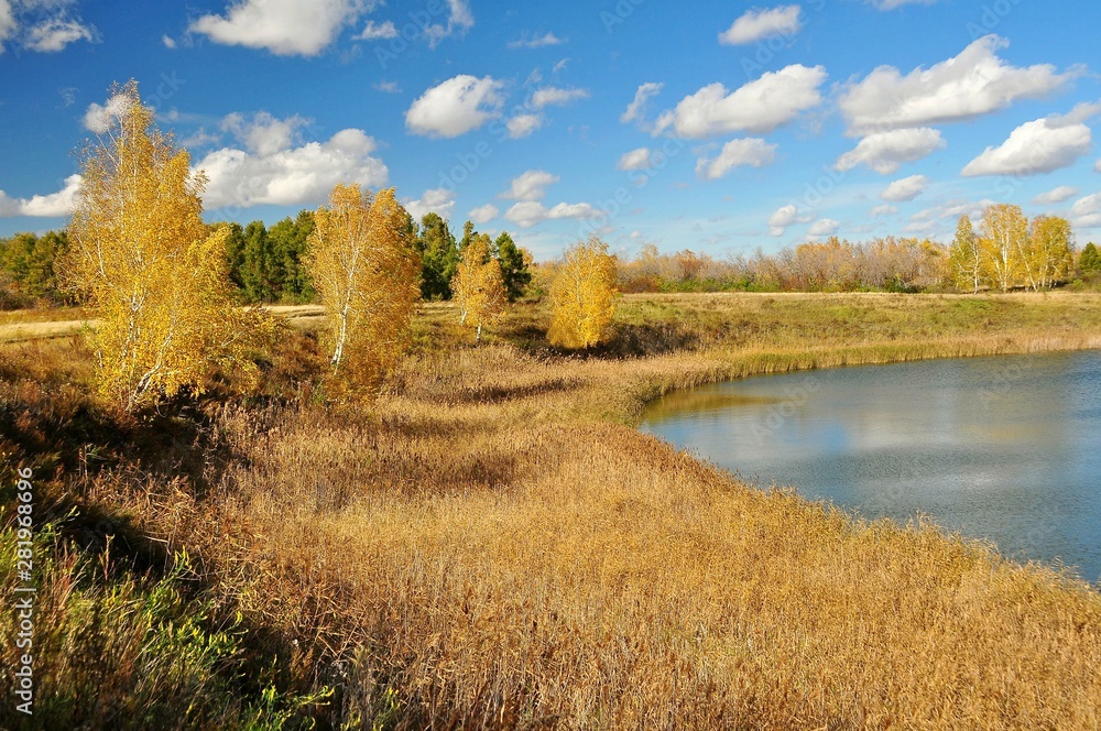 autumn landscape with river and trees autumn landscape with river and trees