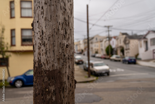 Wooden utility pole for power with hundreds of staples from past postings and posters in neighborhood