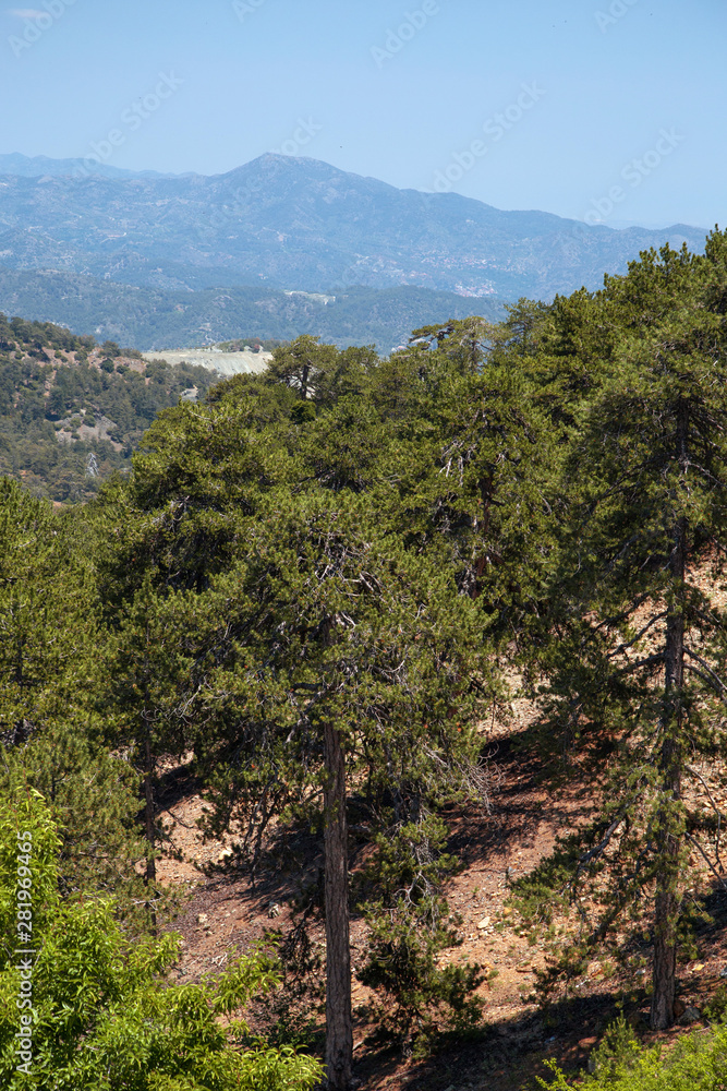 Naklejka premium The high plateau of the Troodos mountains in Cyprus. Mountain Cyprus