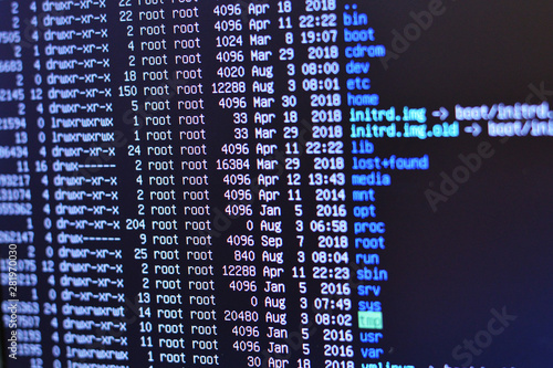 The list of files on the server.