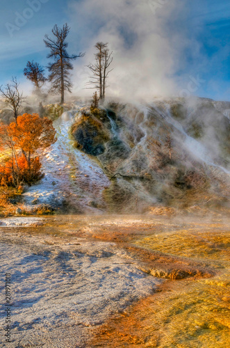 Mammoth Hot Springs, Yellowstone National Park