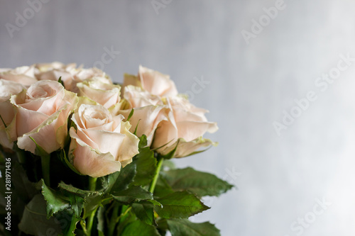 Greeting card with white roses on gray background