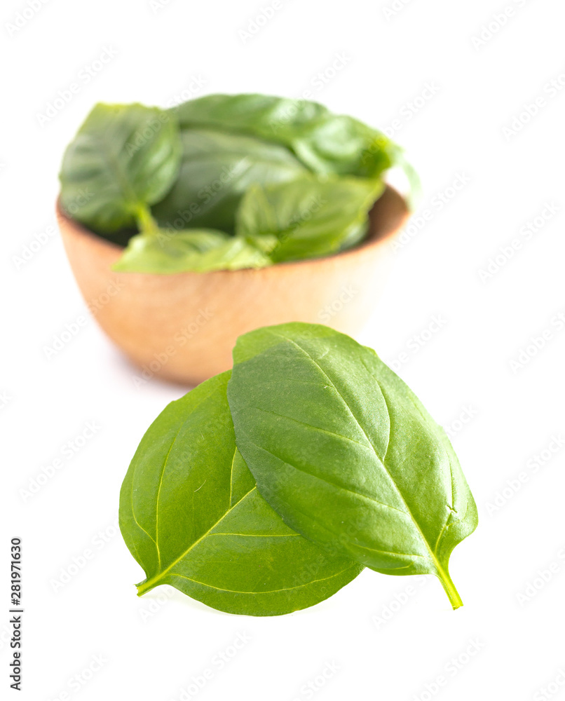 Obraz premium Fresh Basil Leaves Isolated on a White Background
