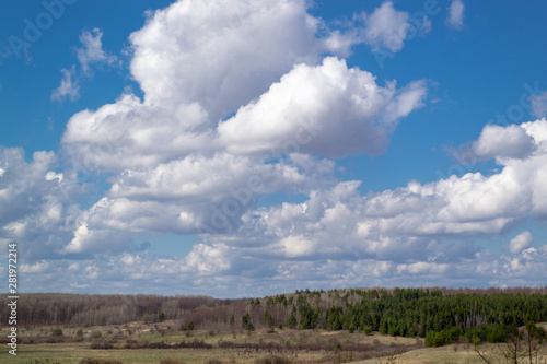 Massive white cumulus clouds in the blue sky over the forest