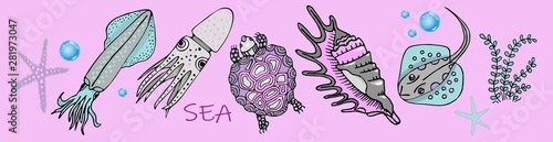 collection of marine inhabitants in a children's style on a pink background. shell stickers, turtle, squid and tortoise.