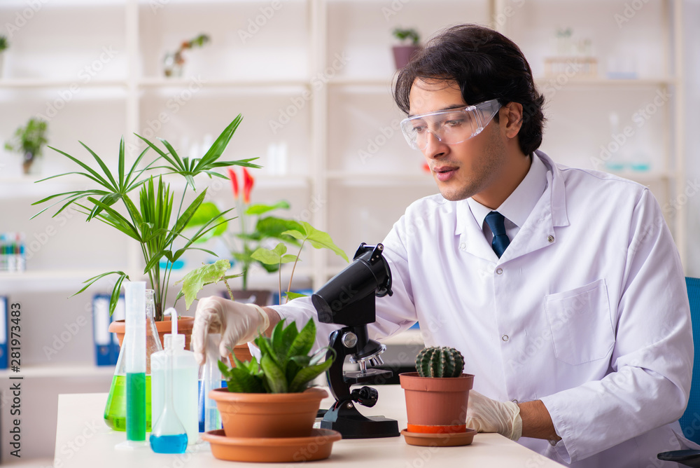 Biotechnology chemist working in lab Biotechnology chemist working in lab