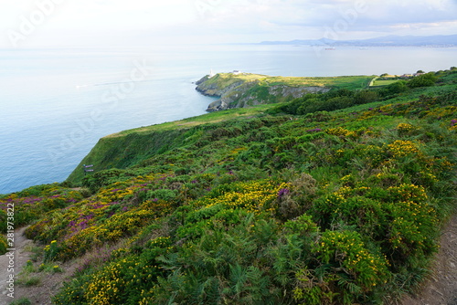 Photography View of green heather fields, the Baily Lighthouse and the Irish Sea seen from t